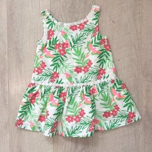 Janie and Jack Floral Green and Pink Dress